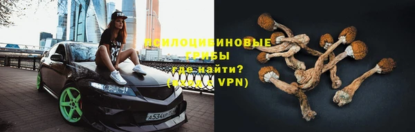 бошки Аркадак