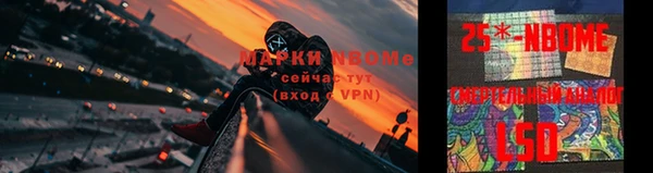 бошки Аркадак