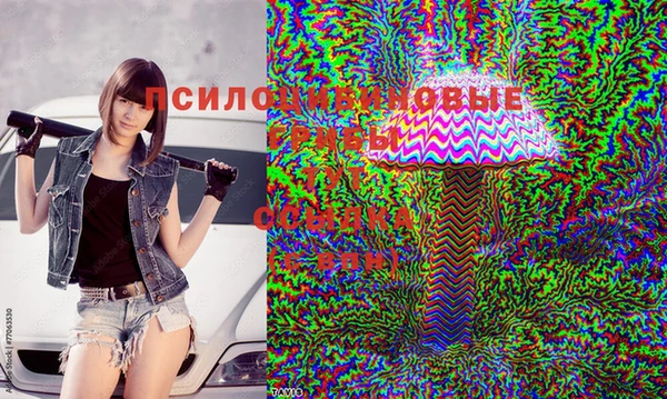 бошки Аркадак